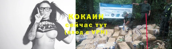 эйфоретик Богородицк