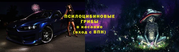 соль ск Богородск