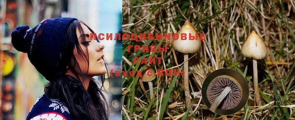эйфоретик Богородицк