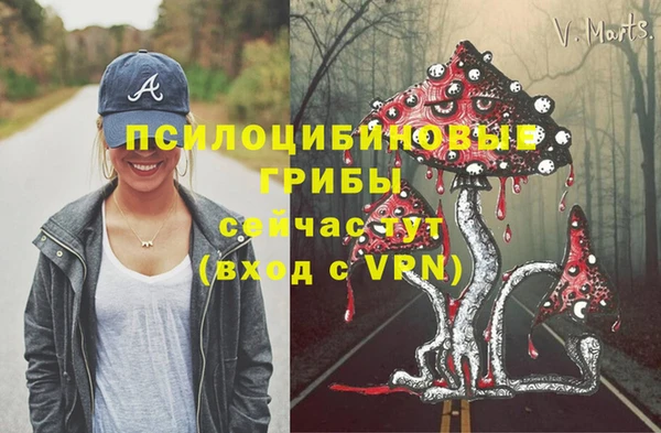 2c-b Богданович