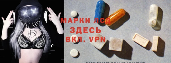 ПСИЛОЦИБИНОВЫЕ ГРИБЫ Заводоуковск