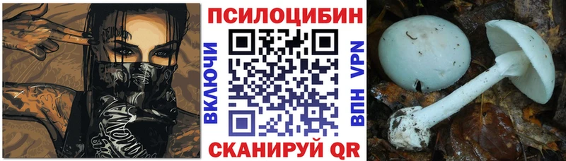 hydra рабочий сайт  Могоча  Галлюциногенные грибы мицелий 